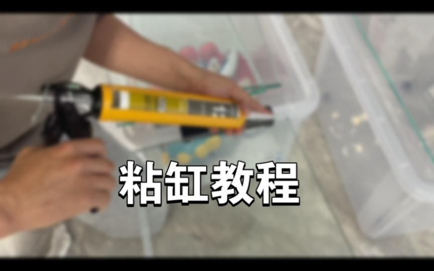 魚缸撞歪后多久會恢復，玻璃魚缸變形前后對比圖