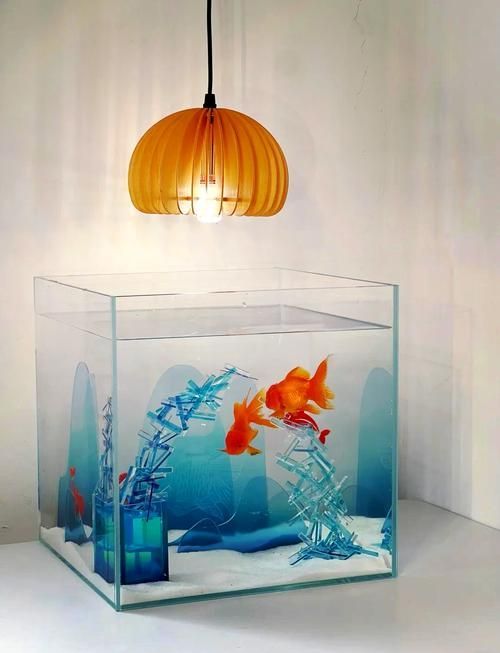 魚缸撞歪后多久會(huì)恢復(fù)，玻璃魚缸變形前后對(duì)比圖