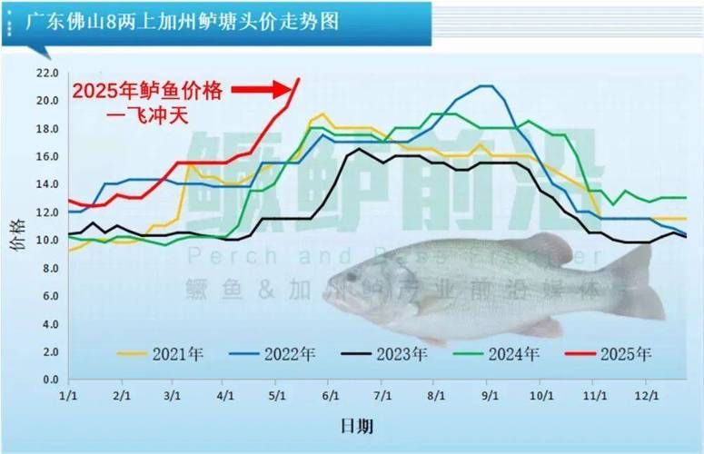 觀賞魚市場價格波動大有哪些原因，觀賞魚市場價格波動大有哪些原因用戶要求詳細(xì)解釋 觀賞魚市場價格波動大有哪些原因，觀賞魚市場價格波動大有哪些原因用戶要求詳細(xì)解釋 龍魚百科 第5張