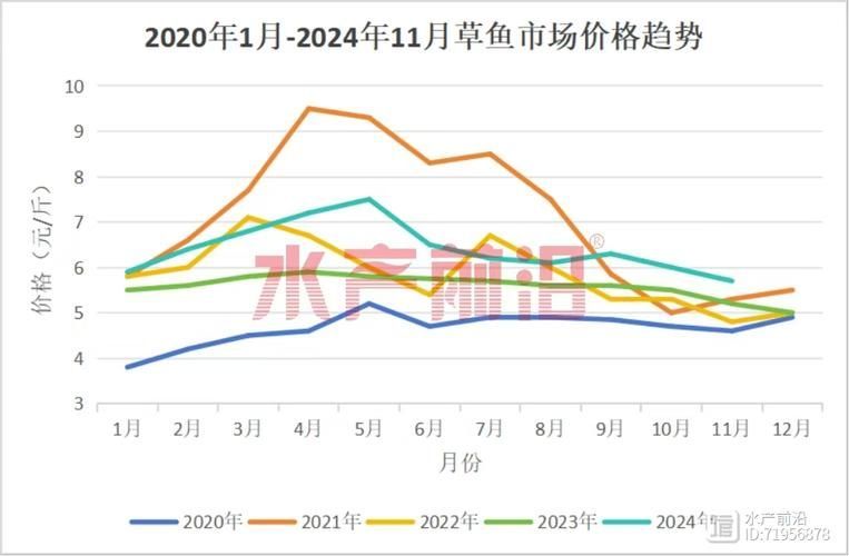 觀賞魚市場價格波動大有哪些原因，觀賞魚市場價格波動大有哪些原因用戶要求詳細(xì)解釋 觀賞魚市場價格波動大有哪些原因，觀賞魚市場價格波動大有哪些原因用戶要求詳細(xì)解釋 龍魚百科 第1張