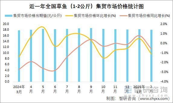 觀賞魚市場價格波動大有哪些原因，觀賞魚市場價格波動大有哪些原因用戶要求詳細(xì)解釋 觀賞魚市場價格波動大有哪些原因，觀賞魚市場價格波動大有哪些原因用戶要求詳細(xì)解釋 龍魚百科 第4張