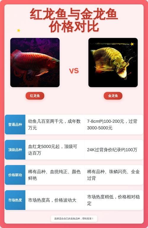 觀賞魚市場價格波動大有哪些原因，觀賞魚市場價格波動大有哪些原因用戶要求詳細(xì)解釋 觀賞魚市場價格波動大有哪些原因，觀賞魚市場價格波動大有哪些原因用戶要求詳細(xì)解釋 龍魚百科 第7張