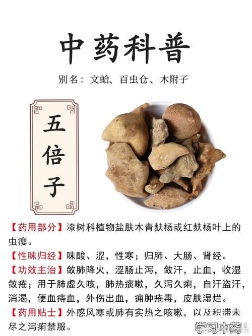 有哪些中草藥可以預防魚炸鱗病，中草藥在養(yǎng)殖中的應用 有哪些中草藥可以預防魚炸鱗病，中草藥在養(yǎng)殖中的應用 龍魚百科 第2張