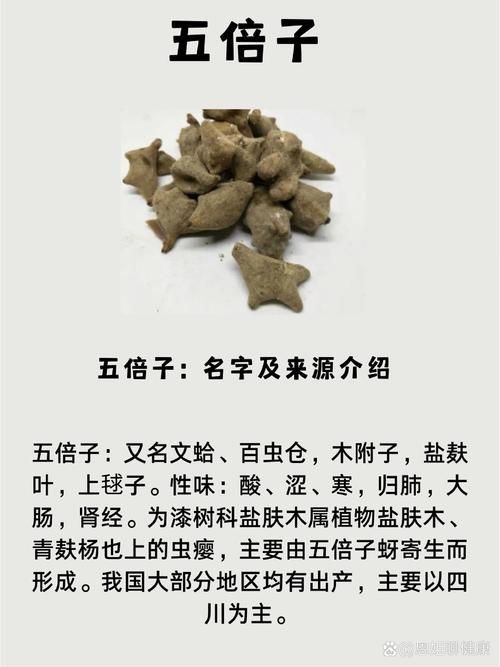 有哪些中草藥可以預防魚炸鱗病，中草藥在養(yǎng)殖中的應用 有哪些中草藥可以預防魚炸鱗病，中草藥在養(yǎng)殖中的應用 龍魚百科 第1張