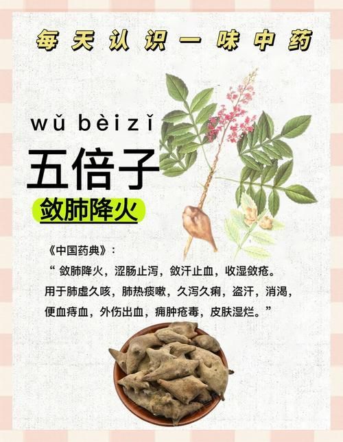 有哪些中草藥可以預防魚炸鱗病，中草藥在養(yǎng)殖中的應用 有哪些中草藥可以預防魚炸鱗病，中草藥在養(yǎng)殖中的應用 龍魚百科 第3張