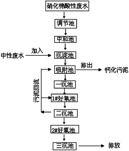 如何建立穩定的硝化系統？，建立穩定的硝化系統工藝流程圖文并茂的1000字詳解 如何建立穩定的硝化系統？，建立穩定的硝化系統工藝流程圖文并茂的1000字詳解 龍魚百科 第4張