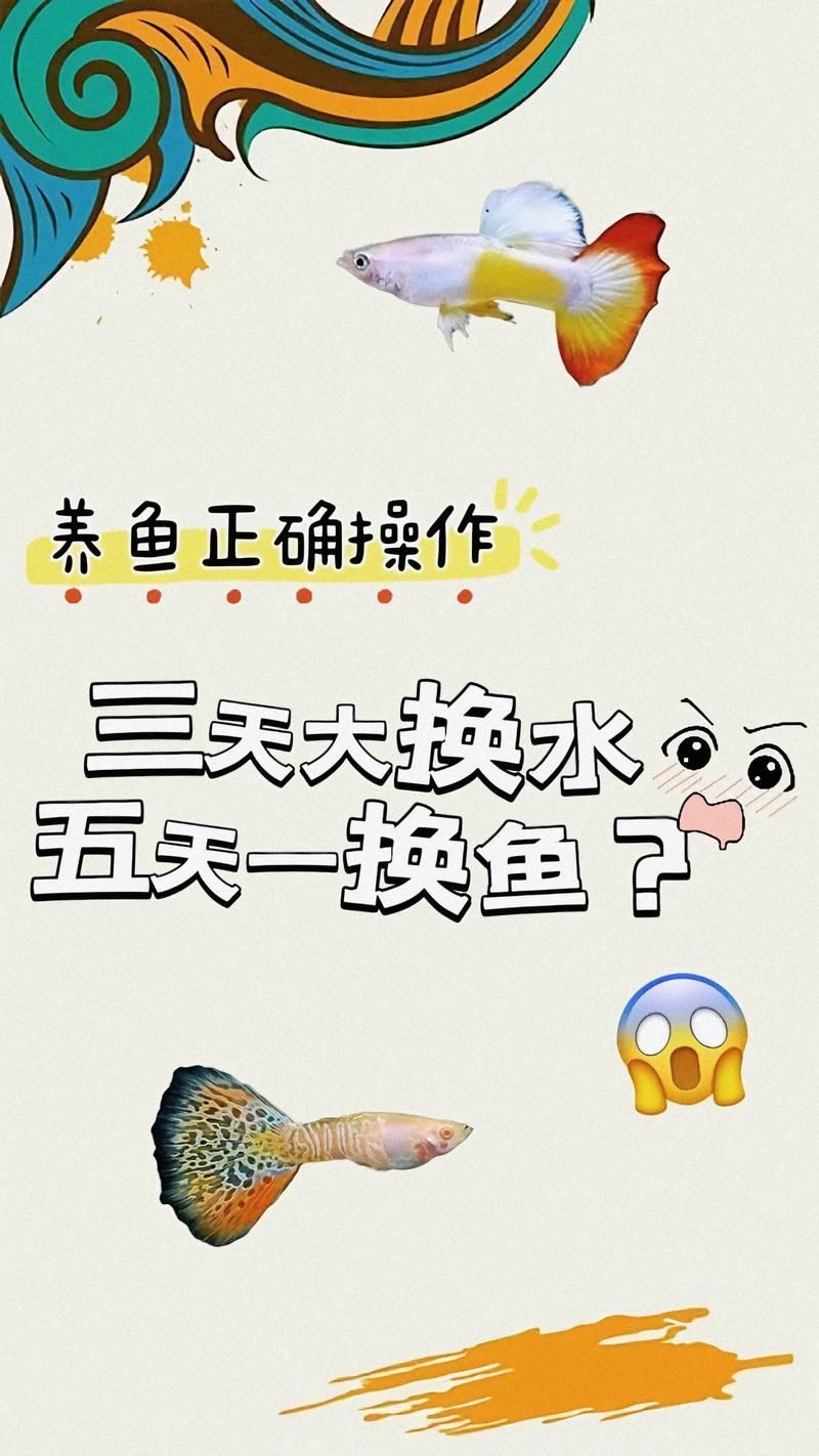 養(yǎng)魚有哪些禁忌事項(xiàng)，養(yǎng)魚禁忌事項(xiàng)