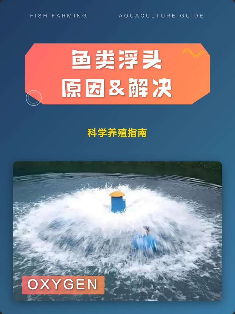有哪些方法可以預防魚浮頭，如何預防魚浮頭