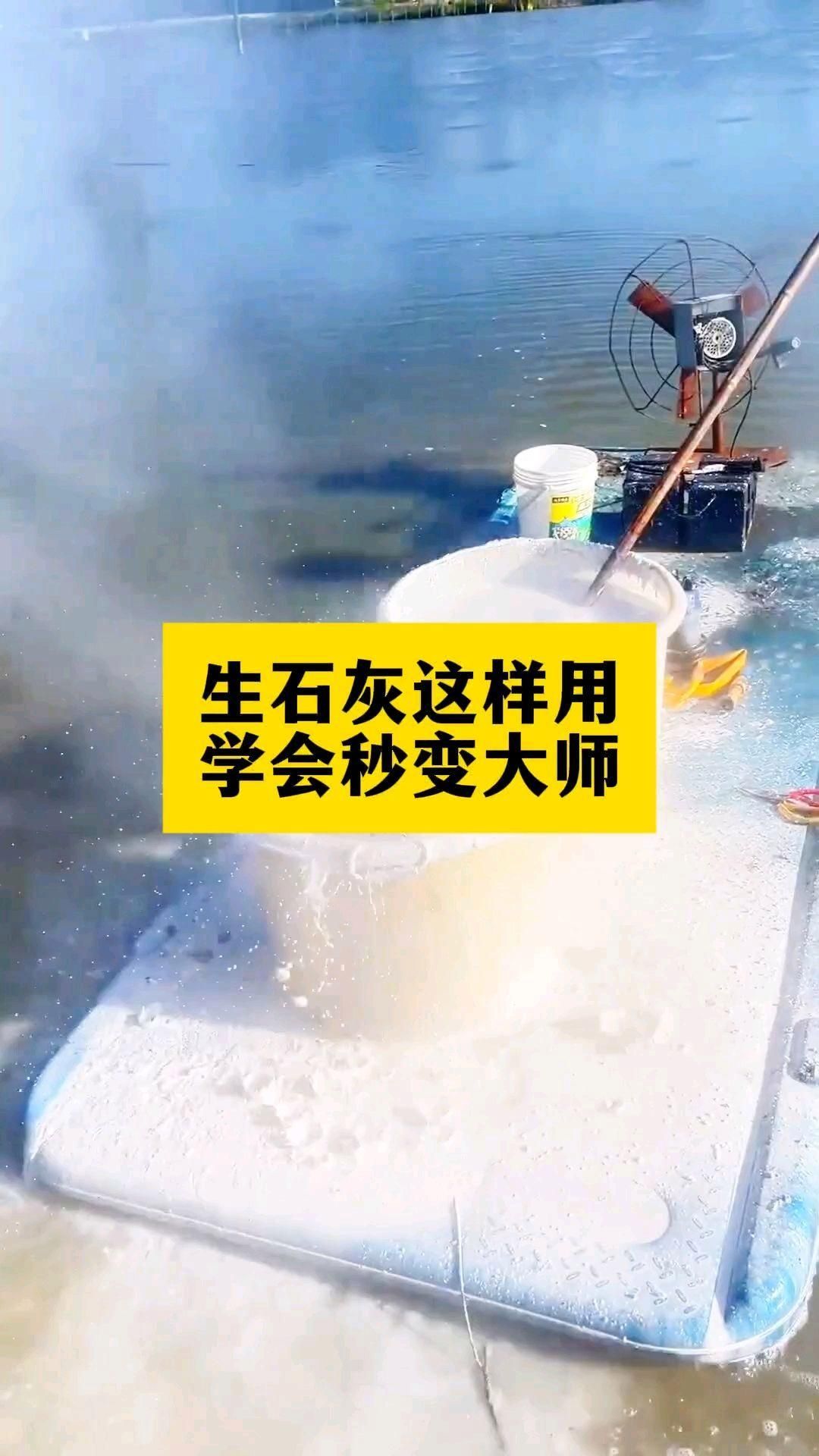 有哪些預防魚真菌感染的措施 有哪些預防魚真菌感染的措施 龍魚百科 第5張