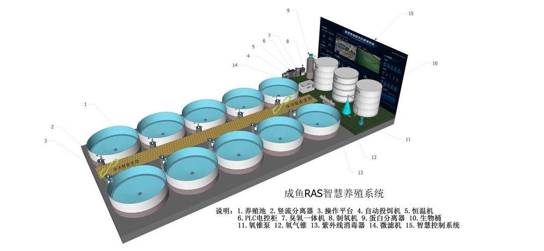 工廠化養殖模式如何降低發病率，工廠化養殖模式通過高度控制與生物安全閉環管理的五大技術路徑 工廠化養殖模式如何降低發病率，工廠化養殖模式通過高度控制與生物安全閉環管理的五大技術路徑 龍魚百科 第6張