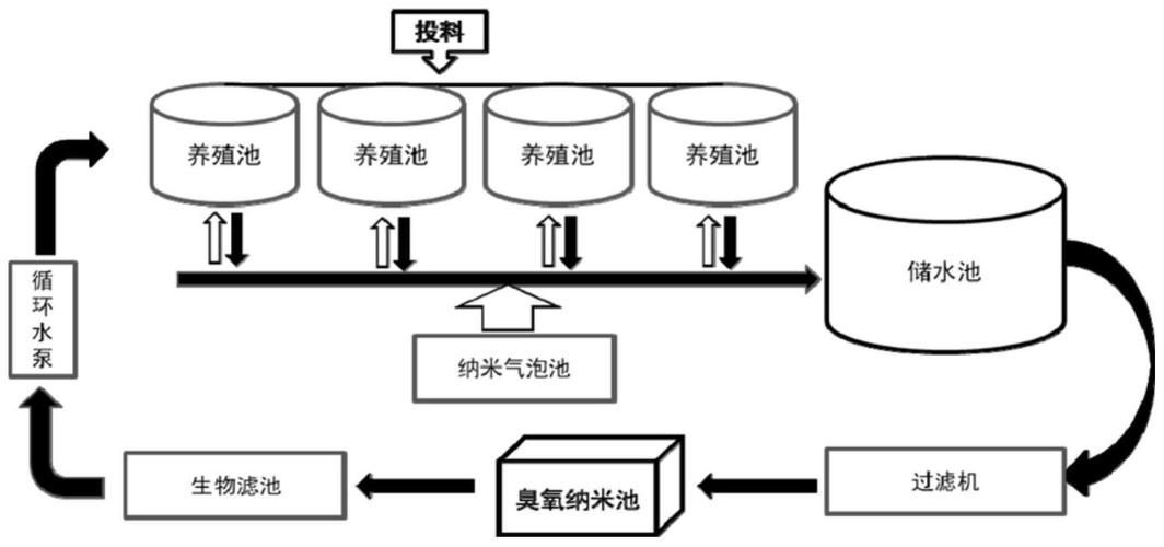 工廠化養殖模式如何降低發病率，工廠化養殖模式通過高度控制與生物安全閉環管理的五大技術路徑 工廠化養殖模式如何降低發病率，工廠化養殖模式通過高度控制與生物安全閉環管理的五大技術路徑 龍魚百科 第2張
