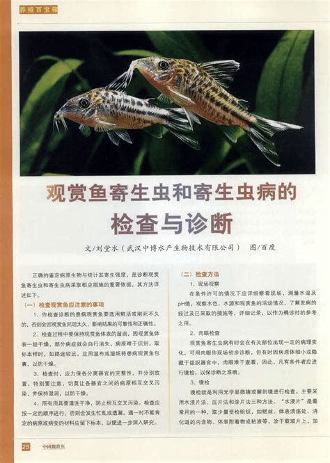 甲硝唑治療魚內寄生蟲用量，甲硝唑治療觀賞魚內寄生蟲用量
