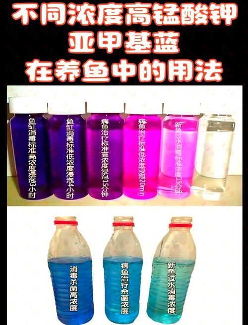 哪些藥物對特定魚種安全，哪些藥物對特定魚種安全思考完成 哪些藥物對特定魚種安全，哪些藥物對特定魚種安全思考完成 龍魚百科 第1張