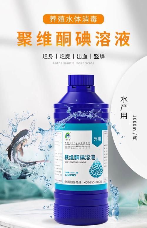 哪些藥物對特定魚種安全，哪些藥物對特定魚種安全思考完成 哪些藥物對特定魚種安全，哪些藥物對特定魚種安全思考完成 龍魚百科 第4張