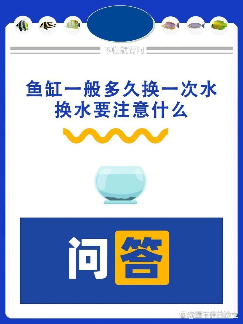 龍魚(yú)蹭缸多久需要換水？ 龍魚(yú)蹭缸多久需要換水？ 龍魚(yú)百科 第2張