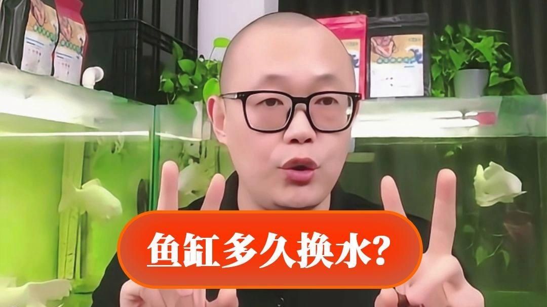 龍魚(yú)蹭缸多久需要換水？ 龍魚(yú)蹭缸多久需要換水？ 龍魚(yú)百科 第3張