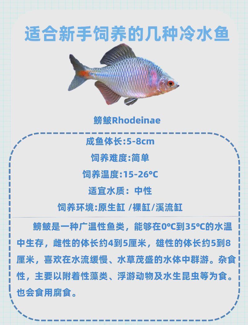 有哪些冷水魚品種適合西安地區(qū)養(yǎng)殖，有哪些適合西安地區(qū)養(yǎng)殖的冷水魚品種