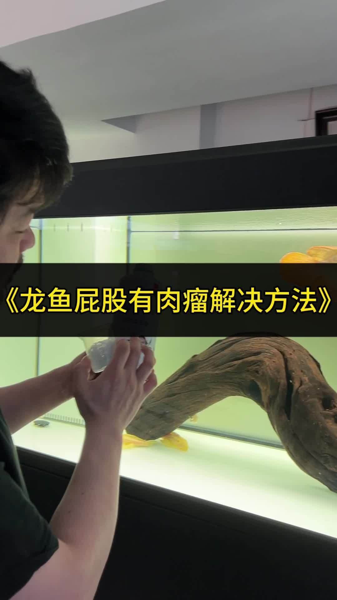 龍魚胡須長肉瘤后應該如何治療？，龍魚胡須長肉瘤后如何治療？