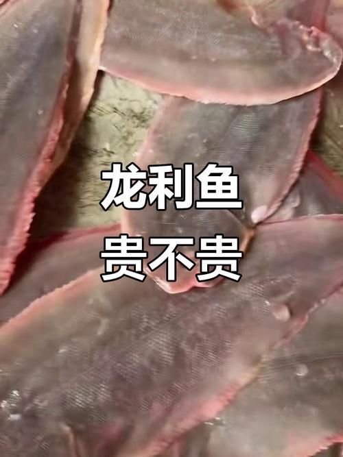 龍利魚的市場價格是多少，龍利魚市場價格普遍在30元/斤以上要不要我 龍利魚的市場價格是多少，龍利魚市場價格普遍在30元/斤以上要不要我 龍魚百科 第1張