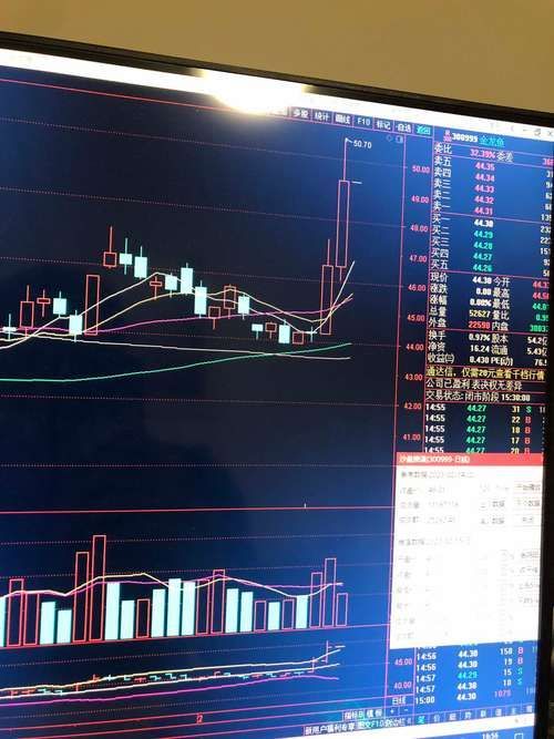 如何查詢金龍魚股票的歷史價格？，如何查詢金龍魚股票歷史價格
