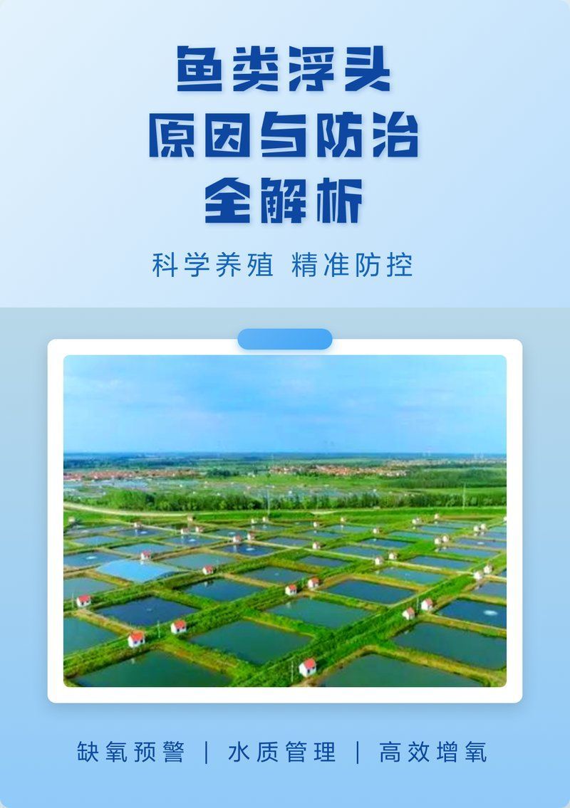 如何預防魚暗浮頭的發生，如何預防魚暗浮頭