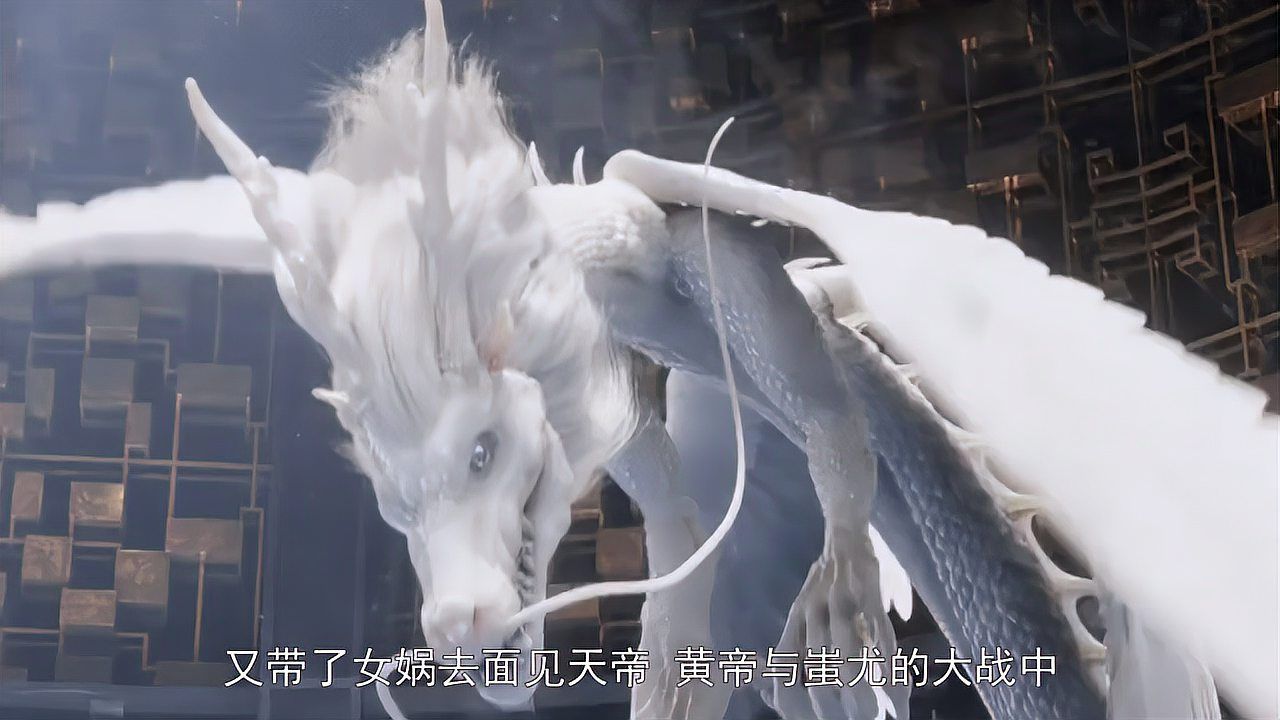 還有哪些生物被稱為“龍”，中國傳統文化中的“龍”是什么？