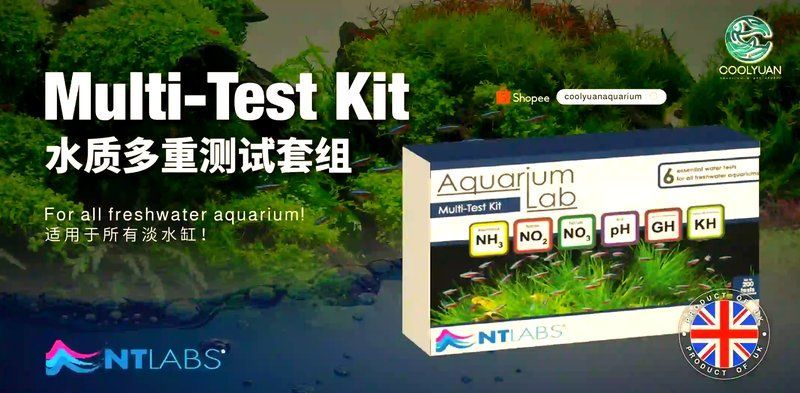 如何監測魚缸中的水質參數？ 如何監測魚缸中的水質參數？ 龍魚百科 第10張