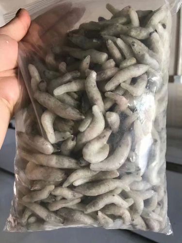 如何選擇適合龍魚的餌料？，如何選擇適合的龍魚餌料？