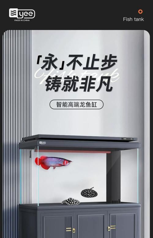 十大龍魚魚缸價格范圍,十大熱門龍魚魚缸價格范圍 龍魚百科 第15張 十大龍魚魚缸價格范圍,十大熱門龍魚魚缸價格范圍 十大龍魚魚缸價格范圍,十大熱門龍魚魚缸價格范圍 龍魚百科 第15張