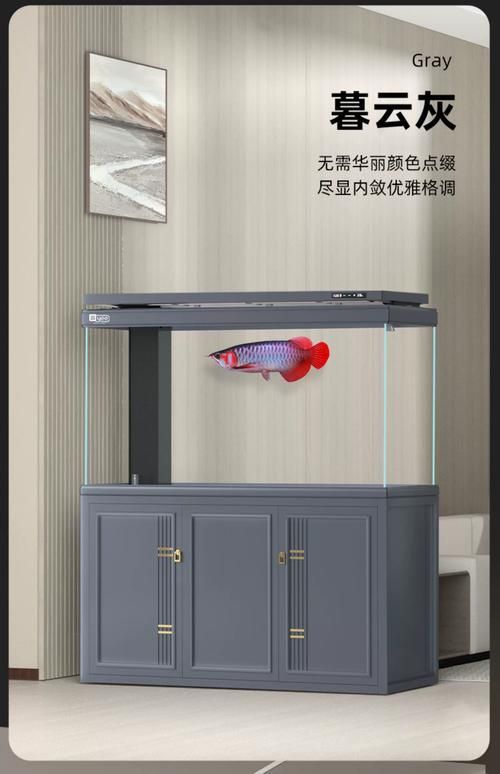 十大龍魚魚缸價格范圍,十大熱門龍魚魚缸價格范圍 龍魚百科 第11張 十大龍魚魚缸價格范圍,十大熱門龍魚魚缸價格范圍 十大龍魚魚缸價格范圍,十大熱門龍魚魚缸價格范圍 龍魚百科 第11張