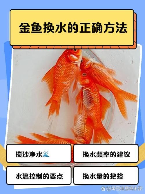 立達(dá)金龍魚(yú)換水時(shí)需要注意什么，立達(dá)金龍魚(yú)換水時(shí)需要注意什么，