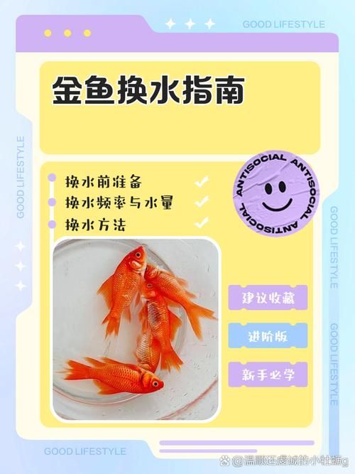 立達(dá)金龍魚(yú)換水時(shí)需要注意什么，立達(dá)金龍魚(yú)換水時(shí)需要注意什么，