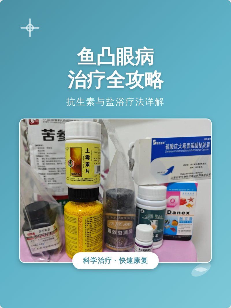 哪些藥物可以有效治療魚突眼病，幫你整理一份魚突眼病的治療方法 哪些藥物可以有效治療魚突眼病，幫你整理一份魚突眼病的治療方法 龍魚百科 第1張