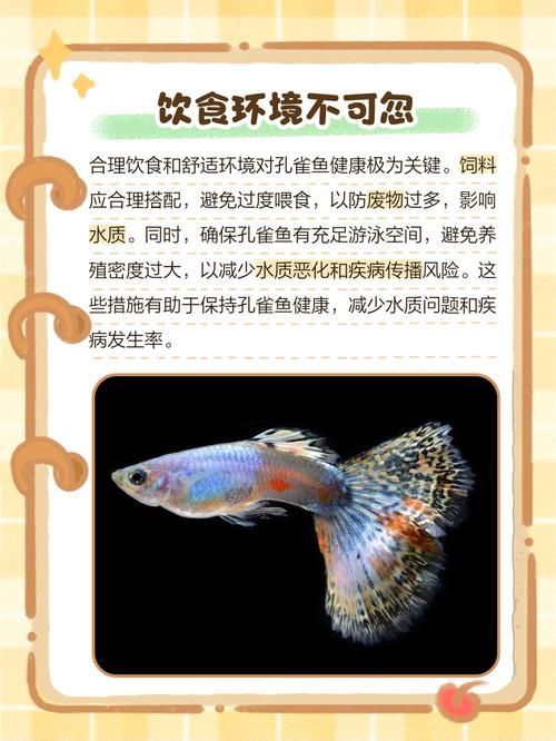 給我一些魚爛鰭爛尾的防治圖片，防治魚爛鰭爛尾的方法 給我一些魚爛鰭爛尾的防治圖片，防治魚爛鰭爛尾的方法 龍魚百科 第7張
