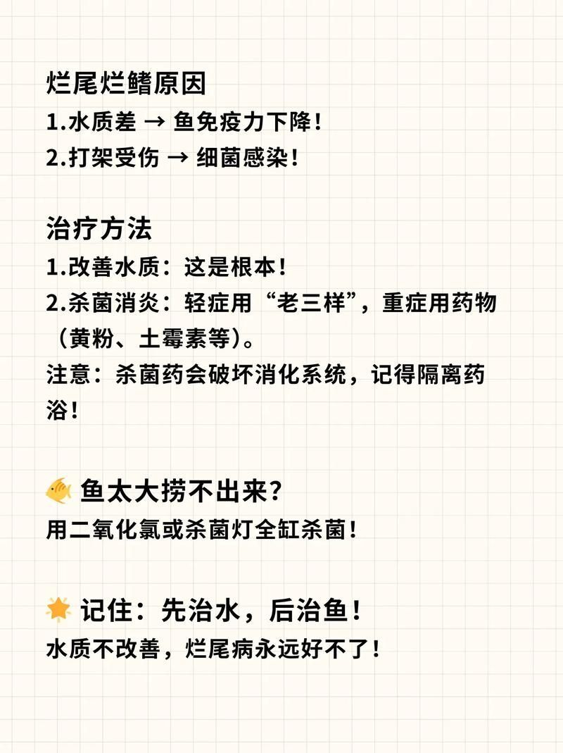 給我一些魚爛鰭爛尾的防治圖片，防治魚爛鰭爛尾的方法 給我一些魚爛鰭爛尾的防治圖片，防治魚爛鰭爛尾的方法 龍魚百科 第21張