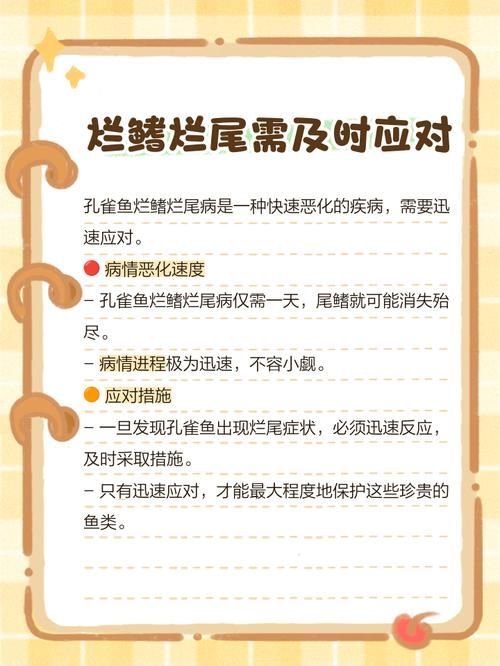 給我一些魚爛鰭爛尾的防治圖片，防治魚爛鰭爛尾的方法 給我一些魚爛鰭爛尾的防治圖片，防治魚爛鰭爛尾的方法 龍魚百科 第10張