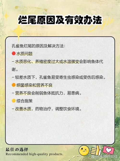 給我一些魚爛鰭爛尾的防治圖片，防治魚爛鰭爛尾的方法 給我一些魚爛鰭爛尾的防治圖片，防治魚爛鰭爛尾的方法 龍魚百科 第18張