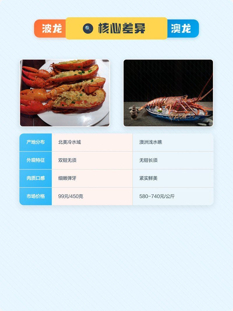 如何區(qū)分真假澳龍，如何區(qū)分真假澳龍（homarusamericanusornatus） 如何區(qū)分真假澳龍，如何區(qū)分真假澳龍（homarusamericanusornatus） 龍魚百科 第7張