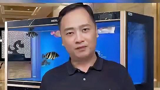 觀賞魚眼睛白膜會自愈嗎，觀賞魚眼睛白膜會自愈嗎觀賞魚眼睛白膜會自愈嗎 觀賞魚眼睛白膜會自愈嗎，觀賞魚眼睛白膜會自愈嗎觀賞魚眼睛白膜會自愈嗎 龍魚百科 第1張