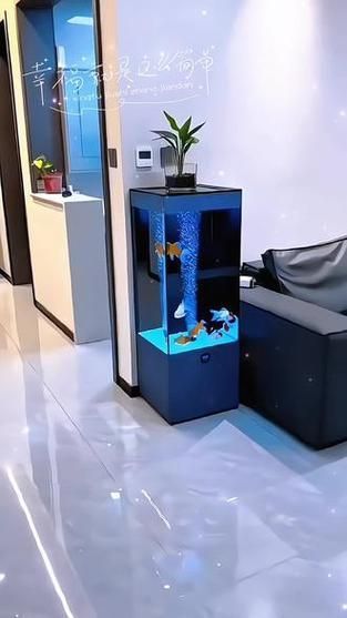 如何選擇適合客廳的魚缸，客廳魚缸如何選擇