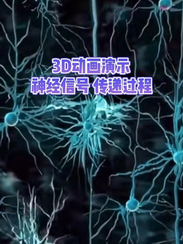 有沒有相關的科學解釋，arxiv論文助手 有沒有相關的科學解釋，arxiv論文助手 龍魚百科 第6張