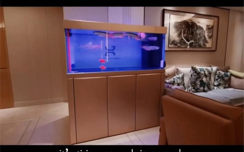 久鼎和彩鰈哪個更適合龍魚？，久鼎與彩鰈龍魚缸對比 久鼎和彩鰈哪個更適合龍魚？，久鼎與彩鰈龍魚缸對比 龍魚百科 第4張