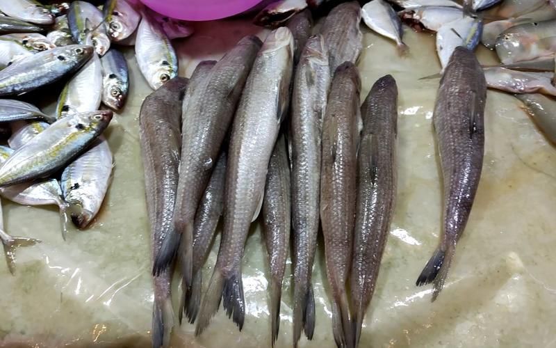 武漢龍魚美食哪家最好，武漢龍魚美食哪家最好吃武漢龍魚美食哪家口碑最好 武漢龍魚美食哪家最好，武漢龍魚美食哪家最好吃武漢龍魚美食哪家口碑最好 龍魚百科 第14張