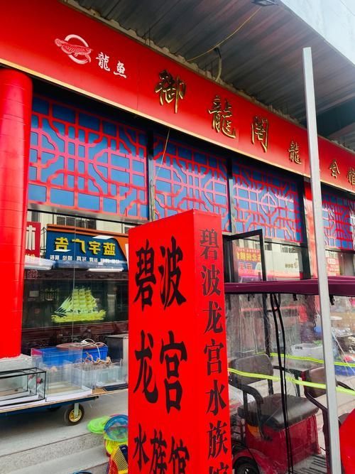 貴陽市有哪些可靠的龍魚購買渠道？，貴陽市龍魚購買渠道可靠且多樣，貴陽龍魚購買避坑指南