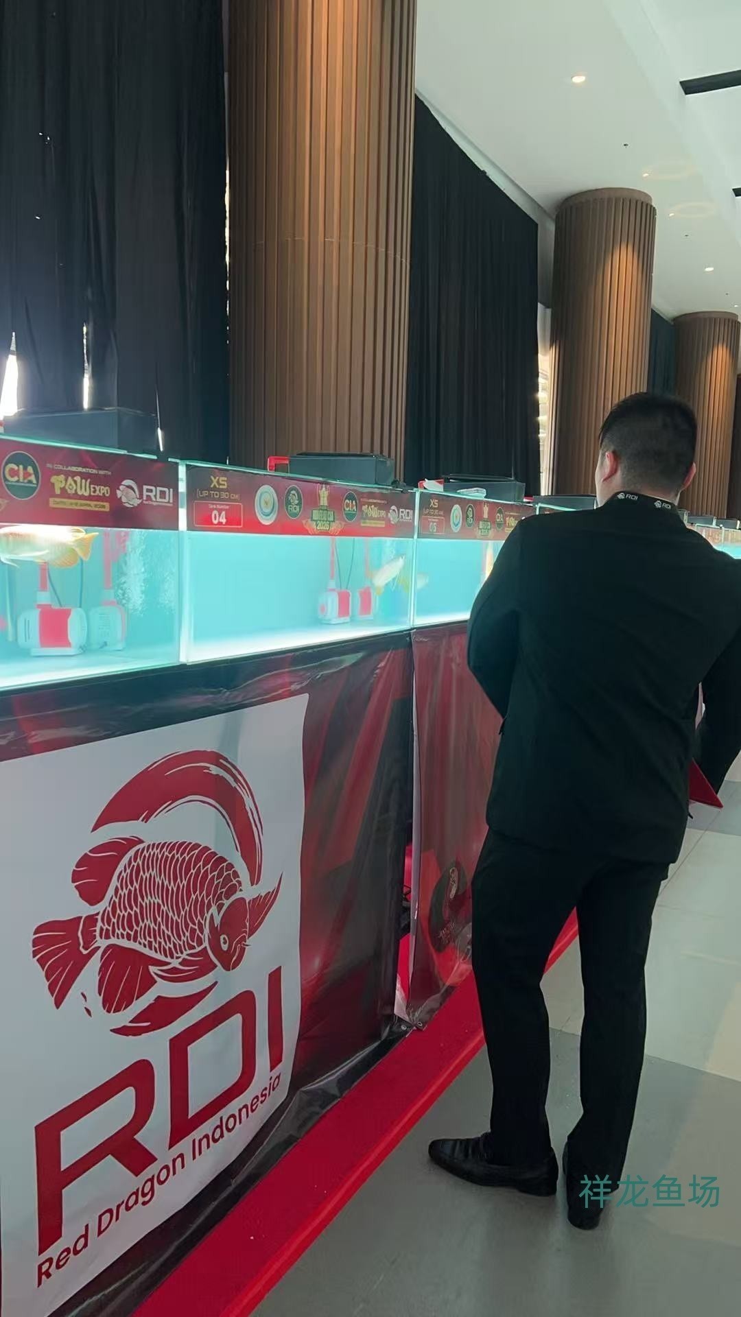 2026 RDI FEAT CIA印尼紅龍魚大賽參賽魚只鑒賞，2026rdifeatcia印尼紅龍魚大賽 2026 RDI FEAT CIA印尼紅龍魚大賽參賽魚只鑒賞，2026rdifeatcia印尼紅龍魚大賽 2025長城杯龍魚大賽 第5張