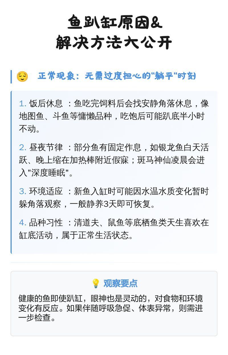 銀龍魚趴缸后如何恢復，銀龍魚趴缸后如何恢復銀龍魚趴缸后如何恢復小魚兒