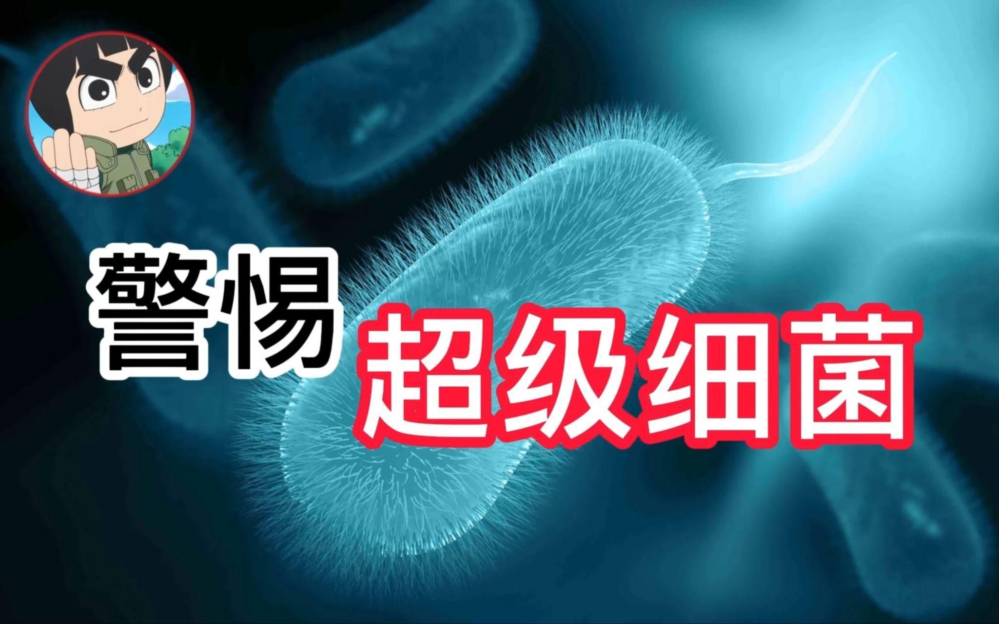 真菌和細菌的耐藥性哪個更嚴重，真菌與細菌的耐藥性 真菌和細菌的耐藥性哪個更嚴重，真菌與細菌的耐藥性 龍魚百科 第2張