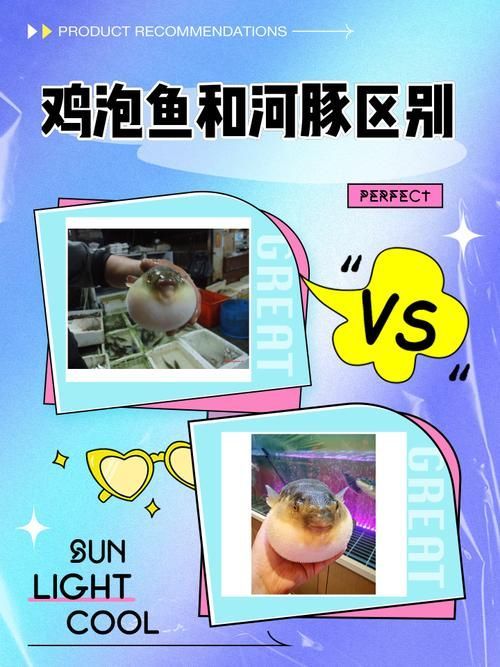 如何判斷魚群是否處于應激狀態，arxiv論文助手判斷魚群是否處于應激狀態下的應激狀態 如何判斷魚群是否處于應激狀態，arxiv論文助手判斷魚群是否處于應激狀態下的應激狀態 龍魚百科 第7張