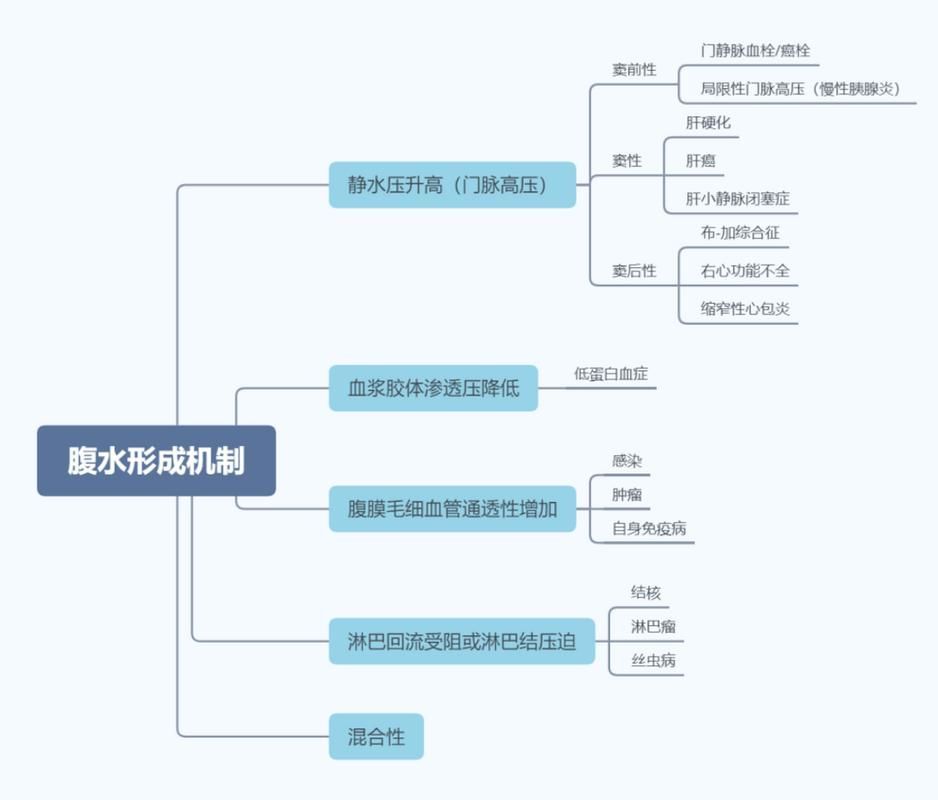 魚腹水如何治療最有效 魚腹水如何治療最有效 龍魚百科 第5張