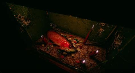 龍魚死亡后應該如何處理才吉利？，龍魚死亡后如何處理才吉利，1000字詳盡處理指南 龍魚死亡后應該如何處理才吉利？，龍魚死亡后如何處理才吉利，1000字詳盡處理指南 龍魚百科 第2張